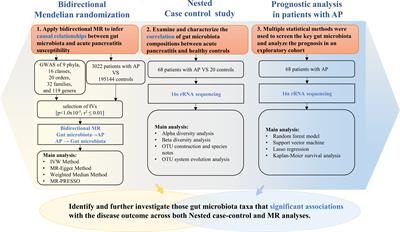 Unravelling the role of gut microbiota in acute pancreatitis: integrating Mendelian randomization with a nested case–control study